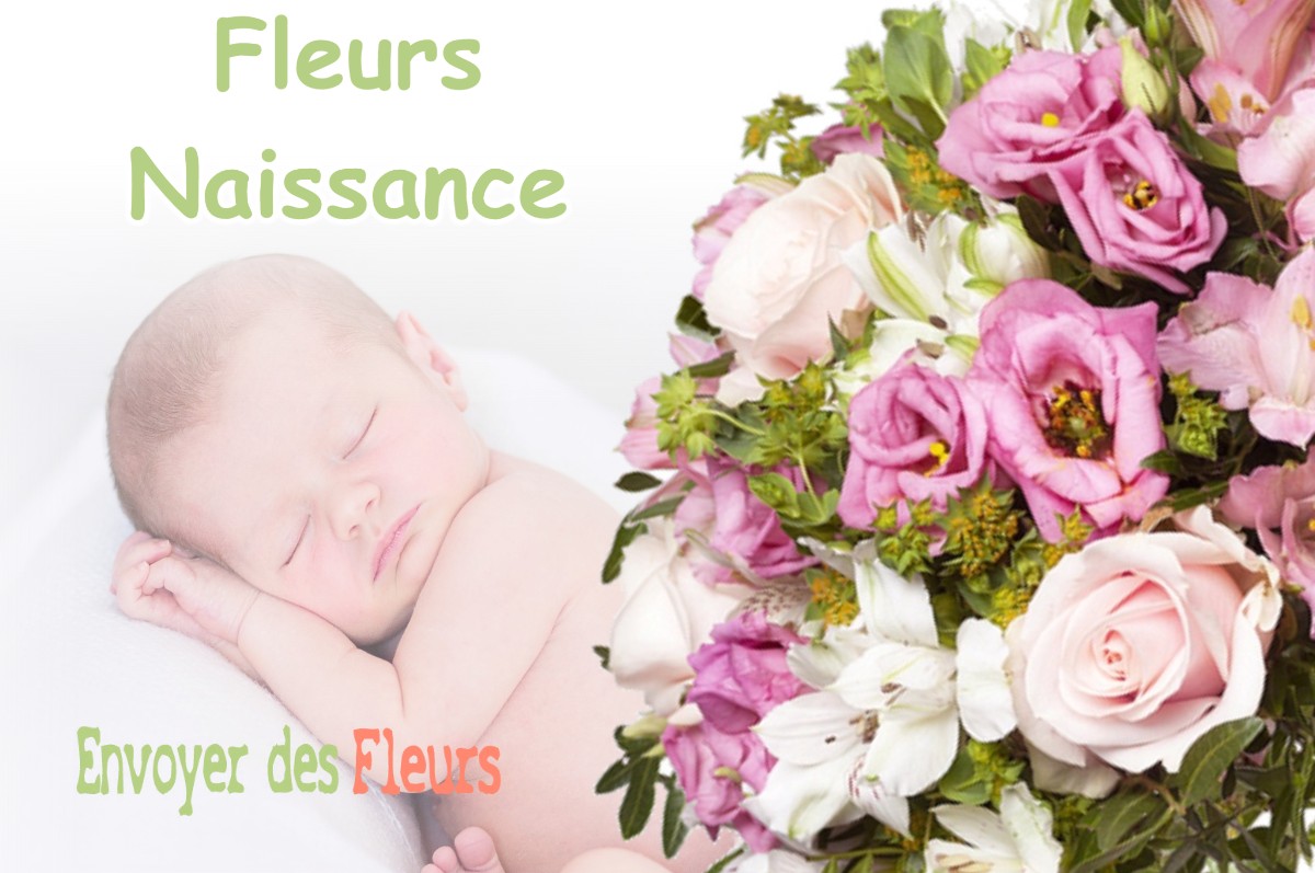 lIVRAISON FLEURS NAISSANCE à TRENSACQ